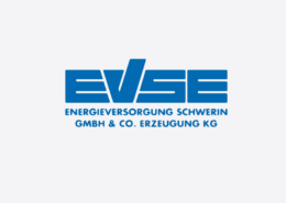 evsenew